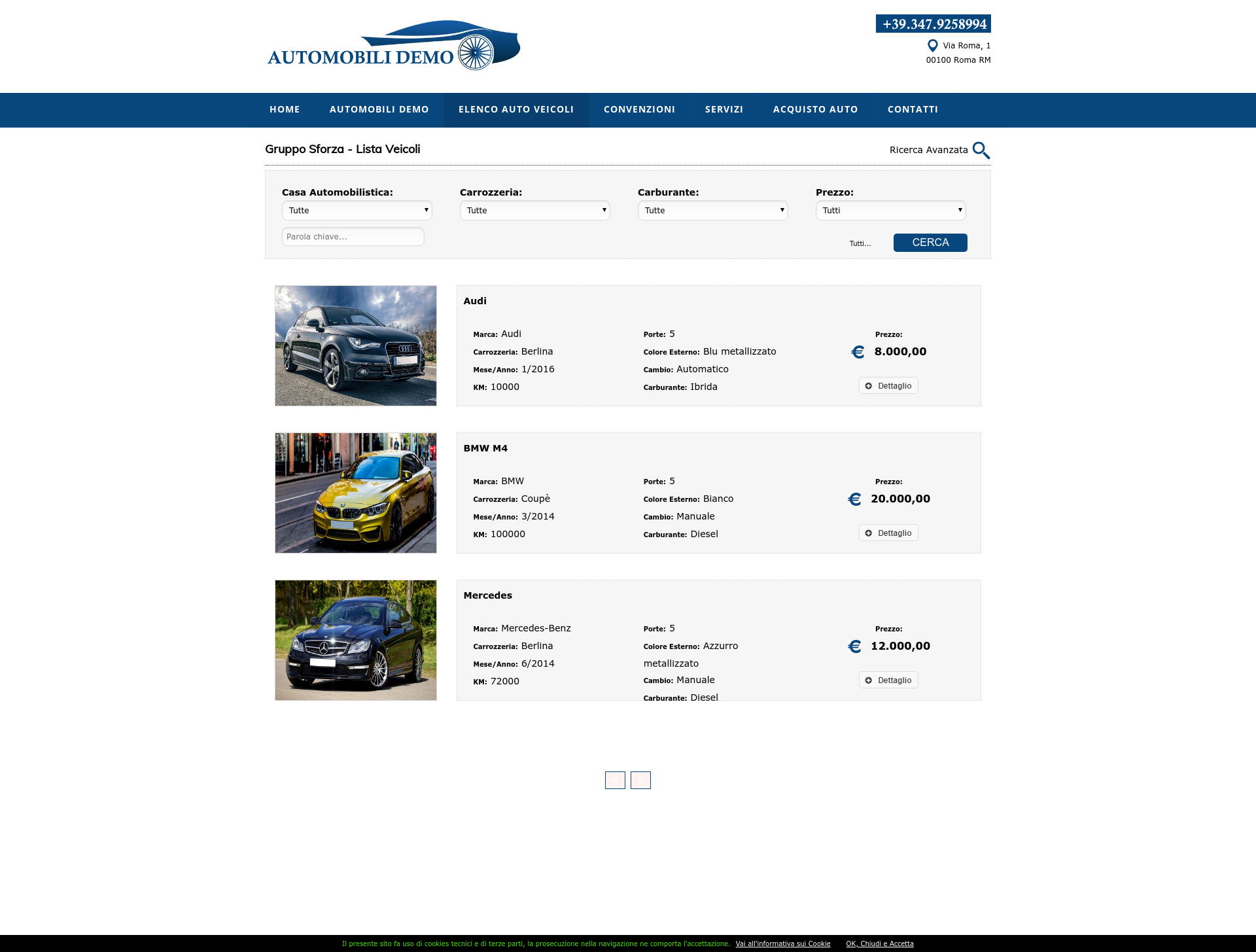 Pagina ricerca automobili, Realizzazione sito web per autosalone