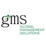 Creazione sito web Global Management Solutions