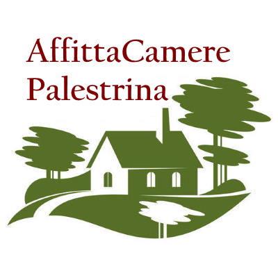 Creazione sito web AffittaCamere Palestrina