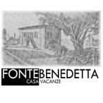 Creazione sito web Fontebenedetta, Casa Vacanze a Siena