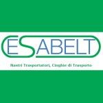 Creazione sito web Esabelt