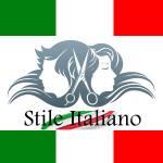 Creazione sito web Stile Italiano Parrucchieri