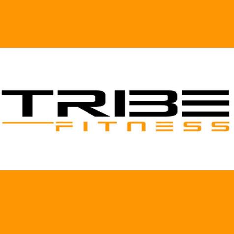 Creazione sito web Tribe Fitness - Tuscolana