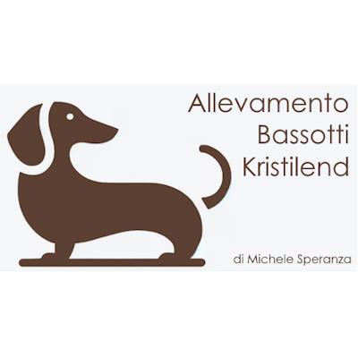 Creazione sito web Allevamento Bassotti